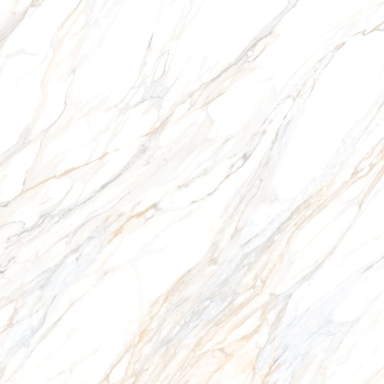Aurum Calacatta Polished 48 x 48